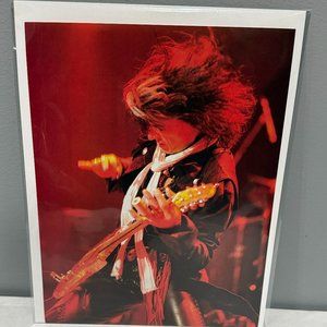 Joe Perry of Aerosmith - Music Print Ad Photo - 2010